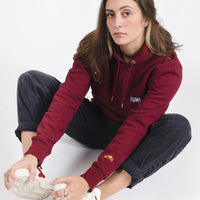 Sudadera Burdeos Airplane