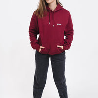 Sudadera Burdeos Airplane