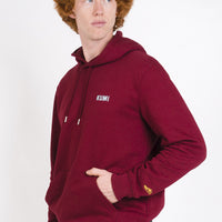 Sudadera Burdeos Airplane